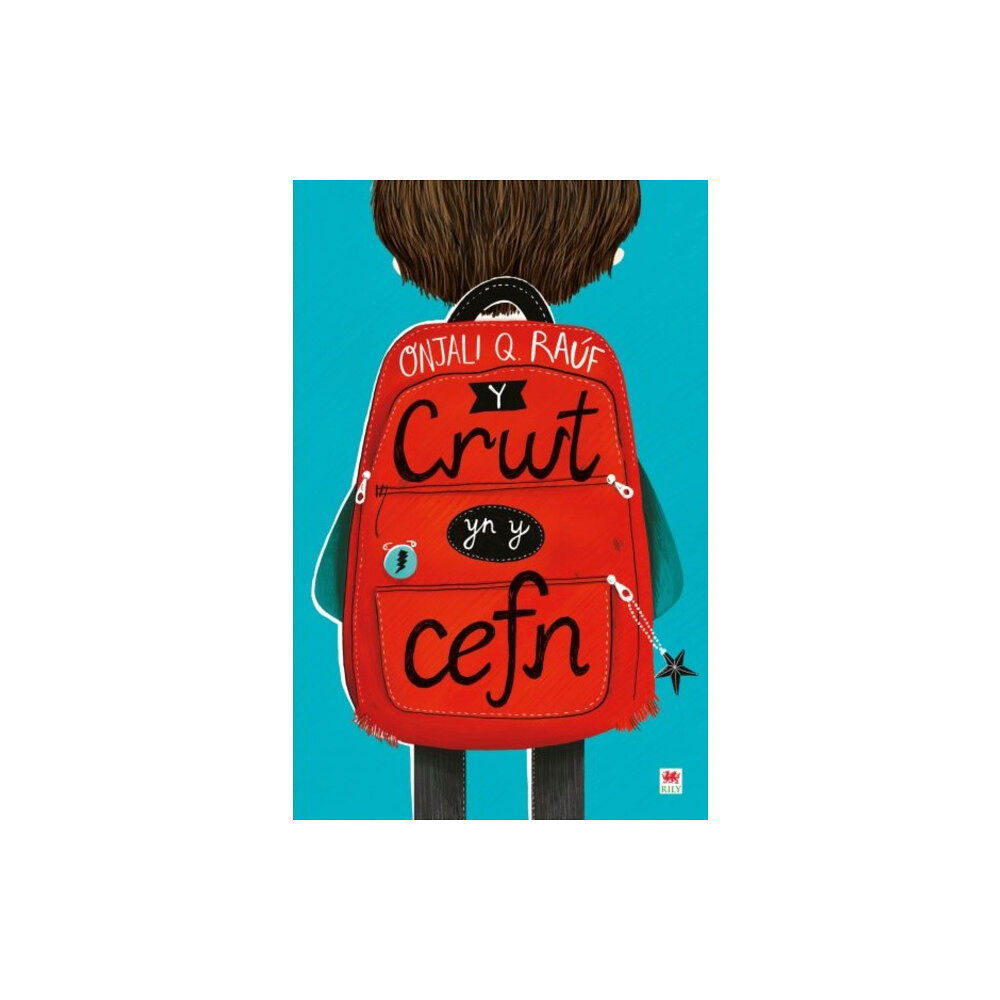 Rily Publications Ltd Y Crwt yn y Cefn (häftad, wel)