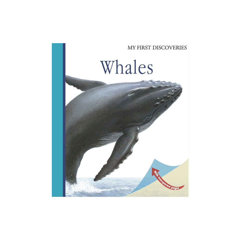 Moonlight Publishing Ltd Whales (bok, spiral, eng)