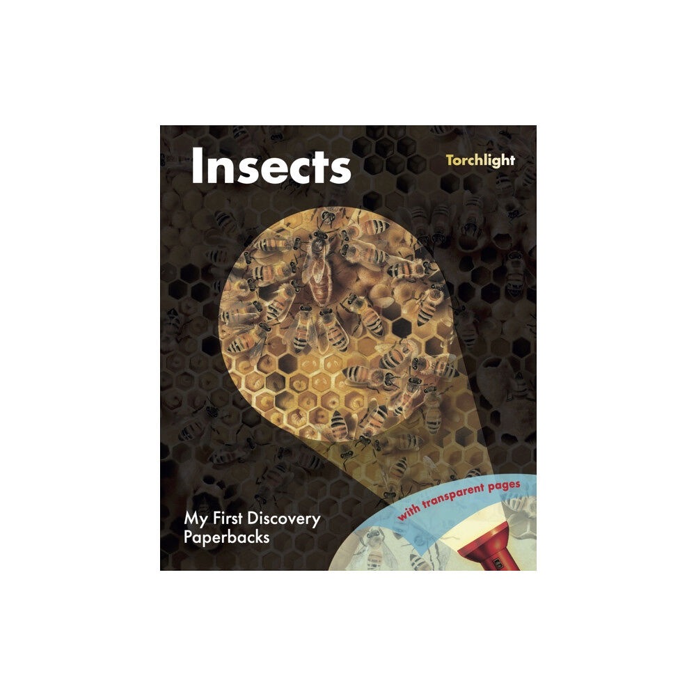 Moonlight Publishing Ltd Insects (häftad, eng)