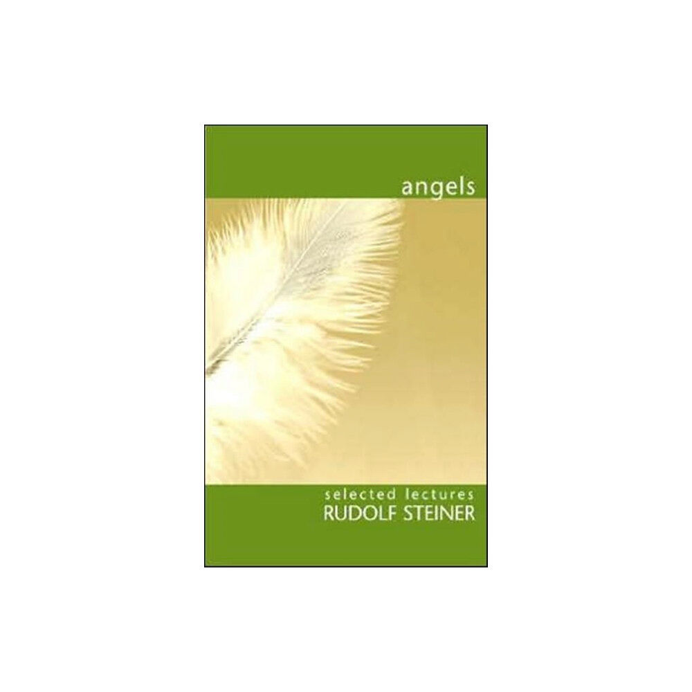 Rudolf Steiner Press Angels (häftad, eng)