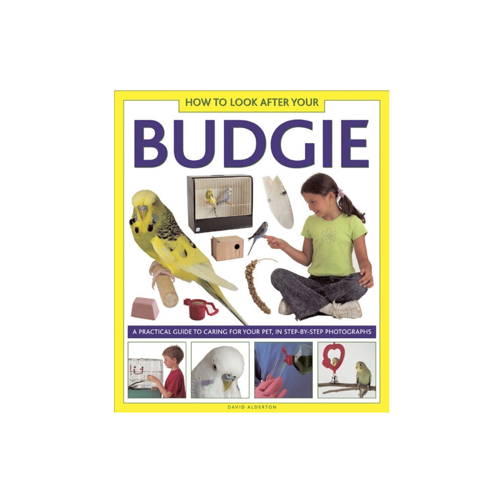 Anness publishing How to Look After Your Budgie (inbunden, eng)