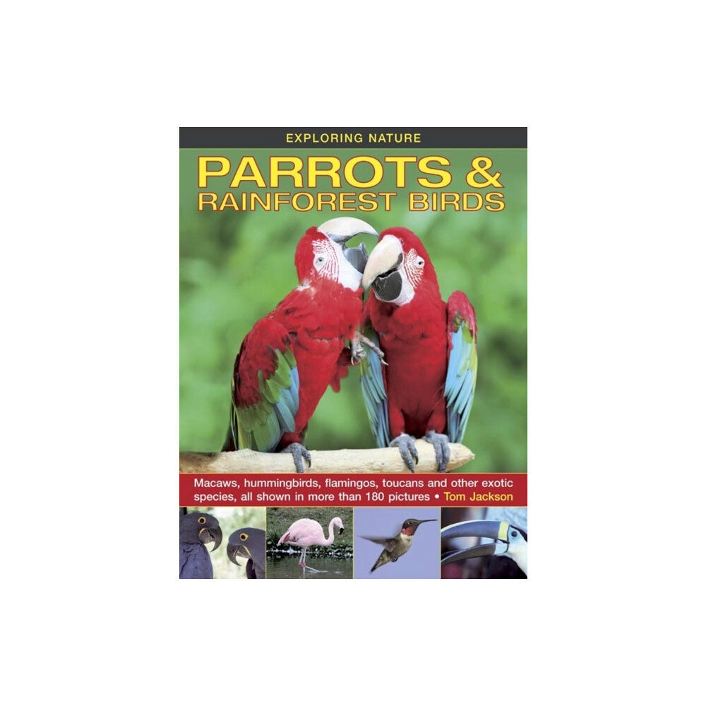 Anness publishing Exploring Nature: Parrots & Rainforest Birds (inbunden, eng)