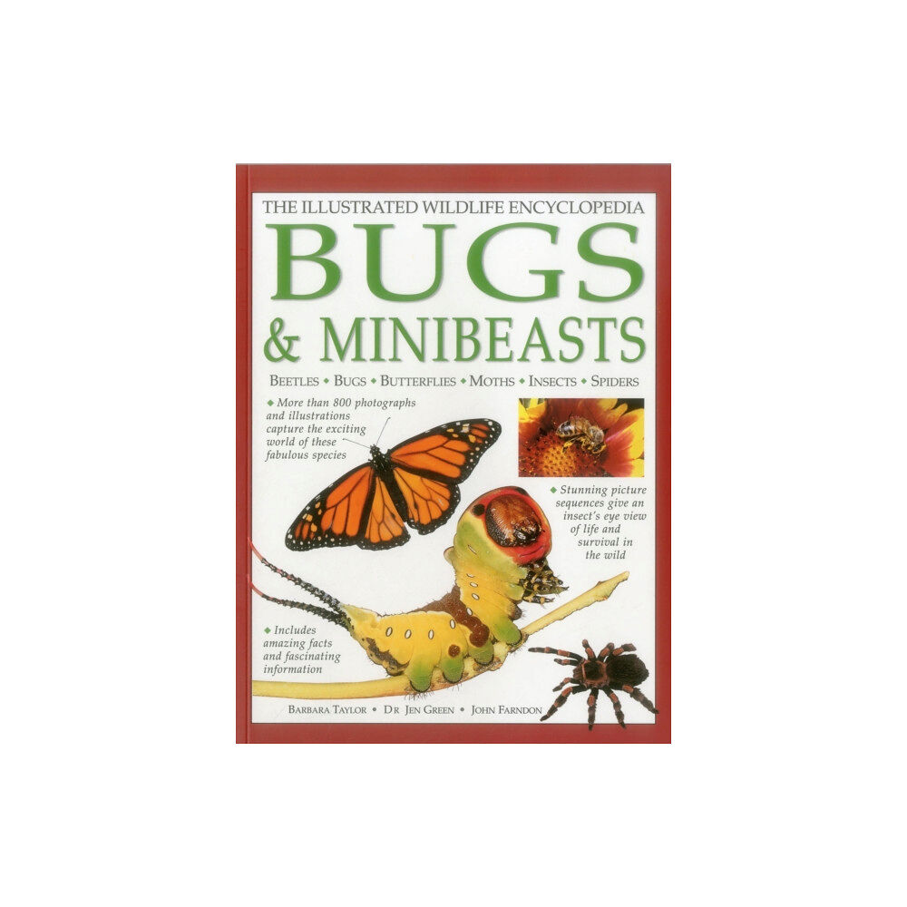 Anness publishing Illustrated Wildlife Encyclopedia: Bugs & Minibeasts (inbunden, eng)