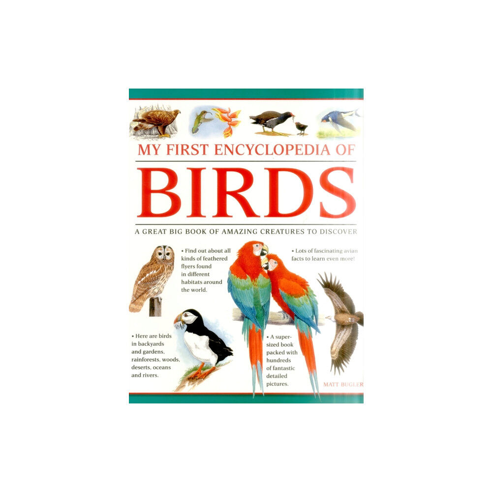 Anness publishing My First Encylopedia of Birds (giant Size) (häftad, eng)