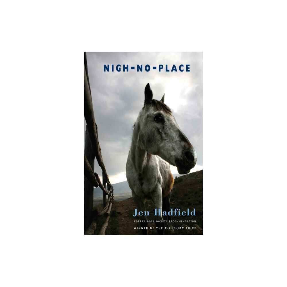 Bloodaxe Books Ltd Nigh-No-Place (häftad, eng)