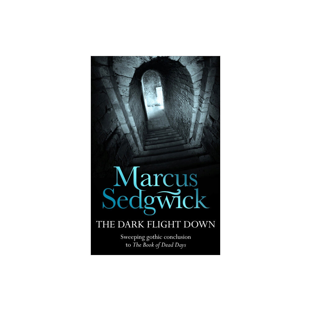 Hachette Children's Group The Dark Flight Down (häftad, eng)