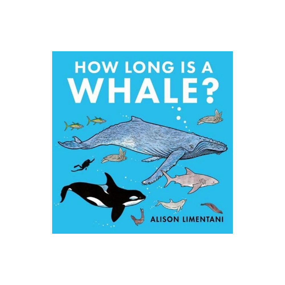 Boxer Books Limited How Long is a Whale? (häftad, eng)