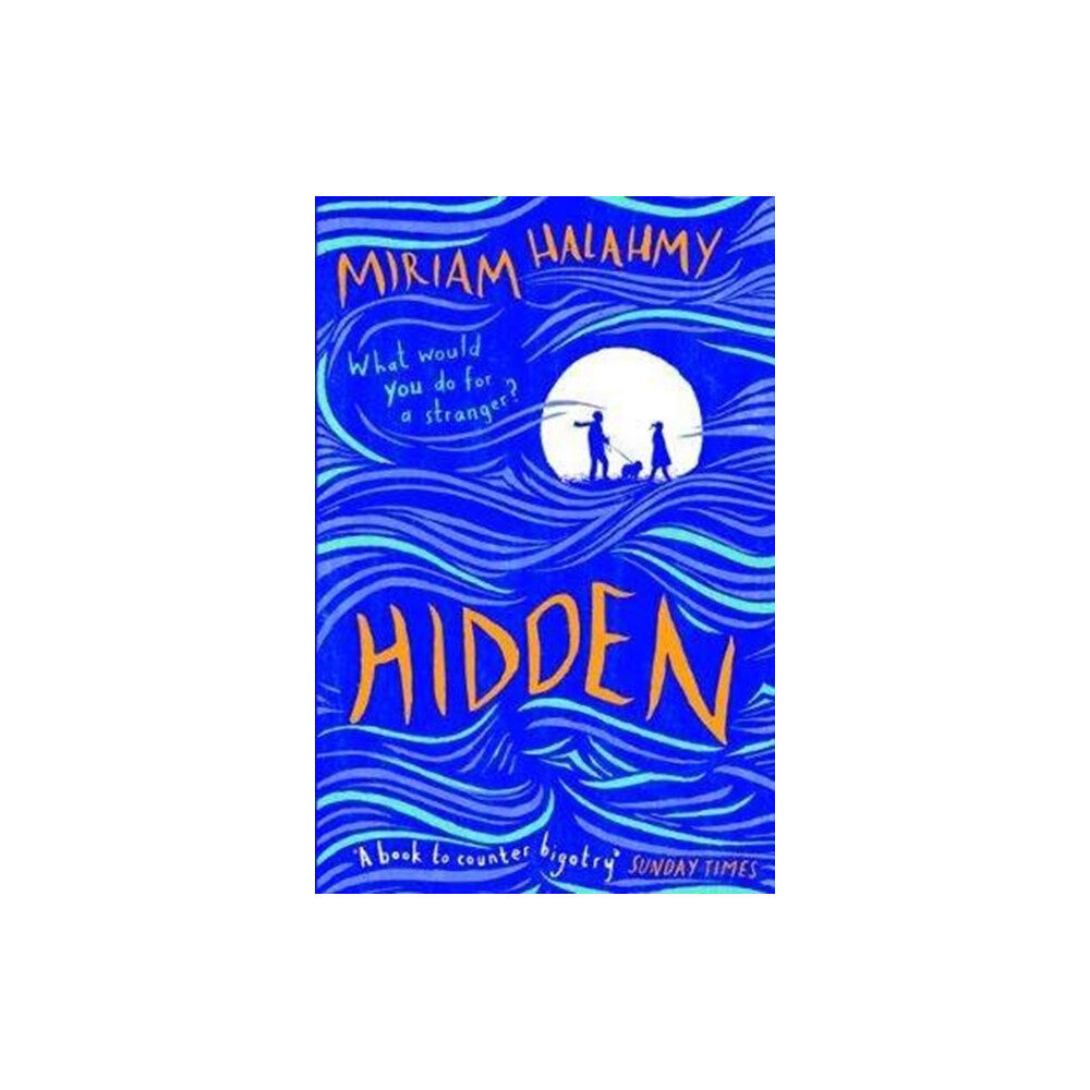 Troika Books Hidden (häftad, eng)