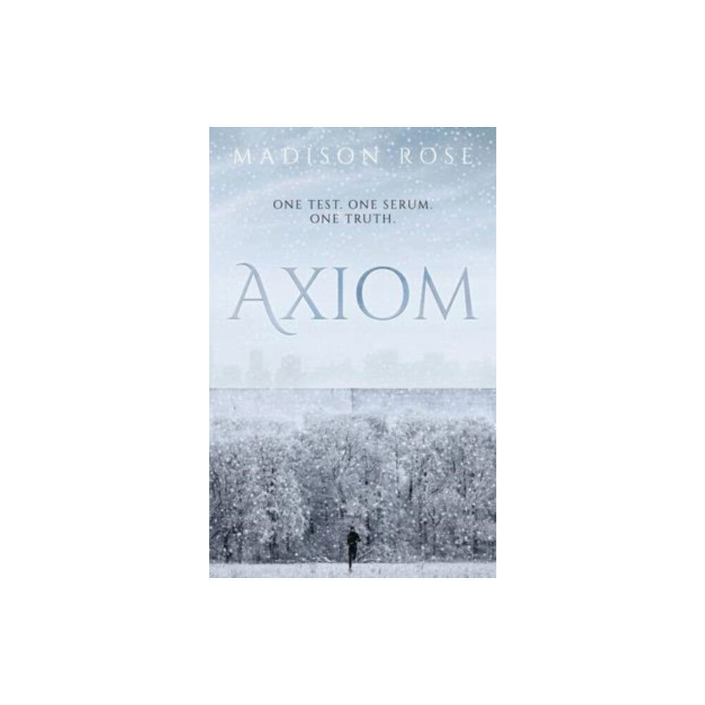 The Book Guild Ltd Axiom (häftad, eng)