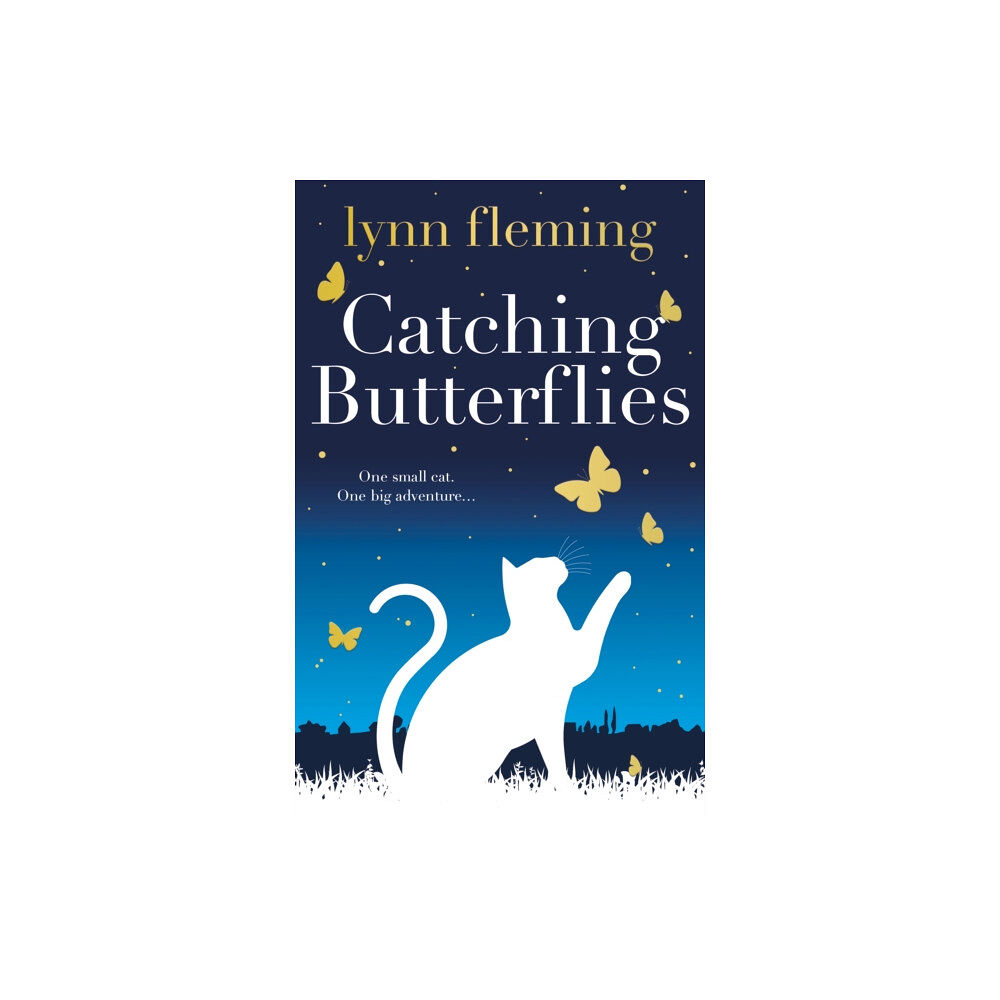 The Book Guild Ltd Catching Butterflies (häftad, eng)