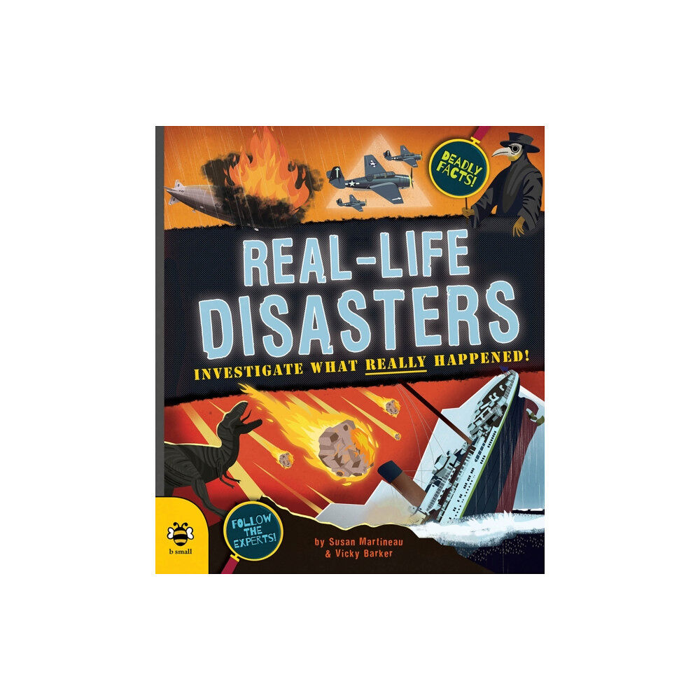 b small publishing limited Real-life Disasters (häftad, eng)