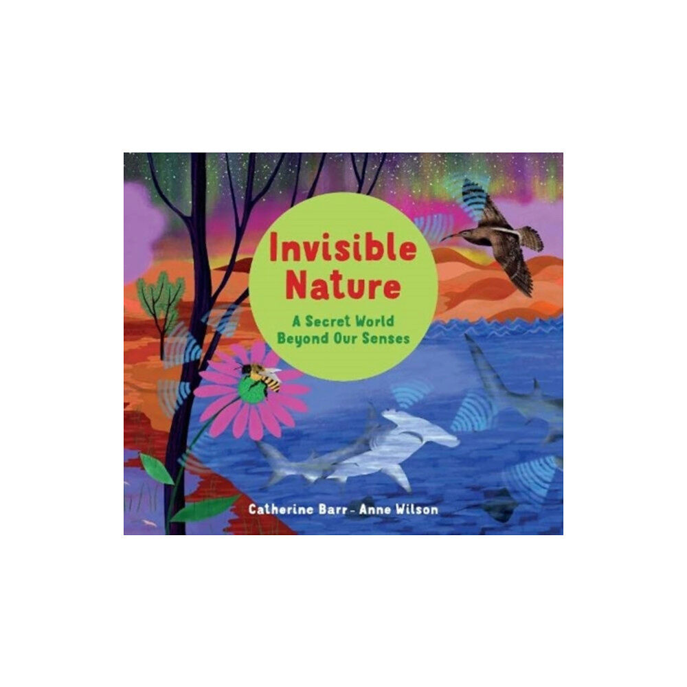 Otter-Barry Books Ltd Invisible Nature (häftad, eng)