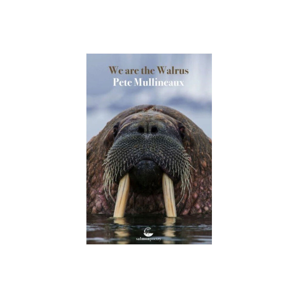 Salmon Poetry We Are the Walrus (häftad, eng)
