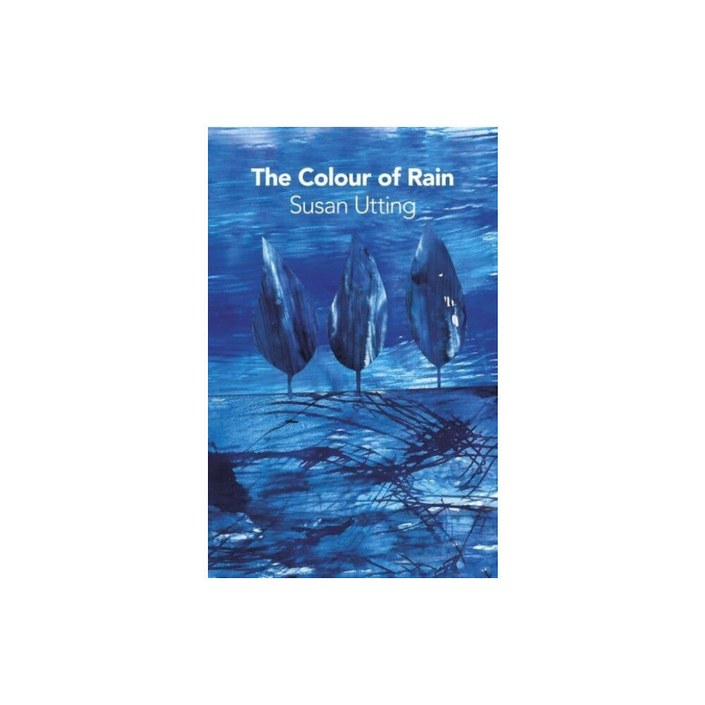 Two Rivers Press The Colour of Rain (häftad, eng)