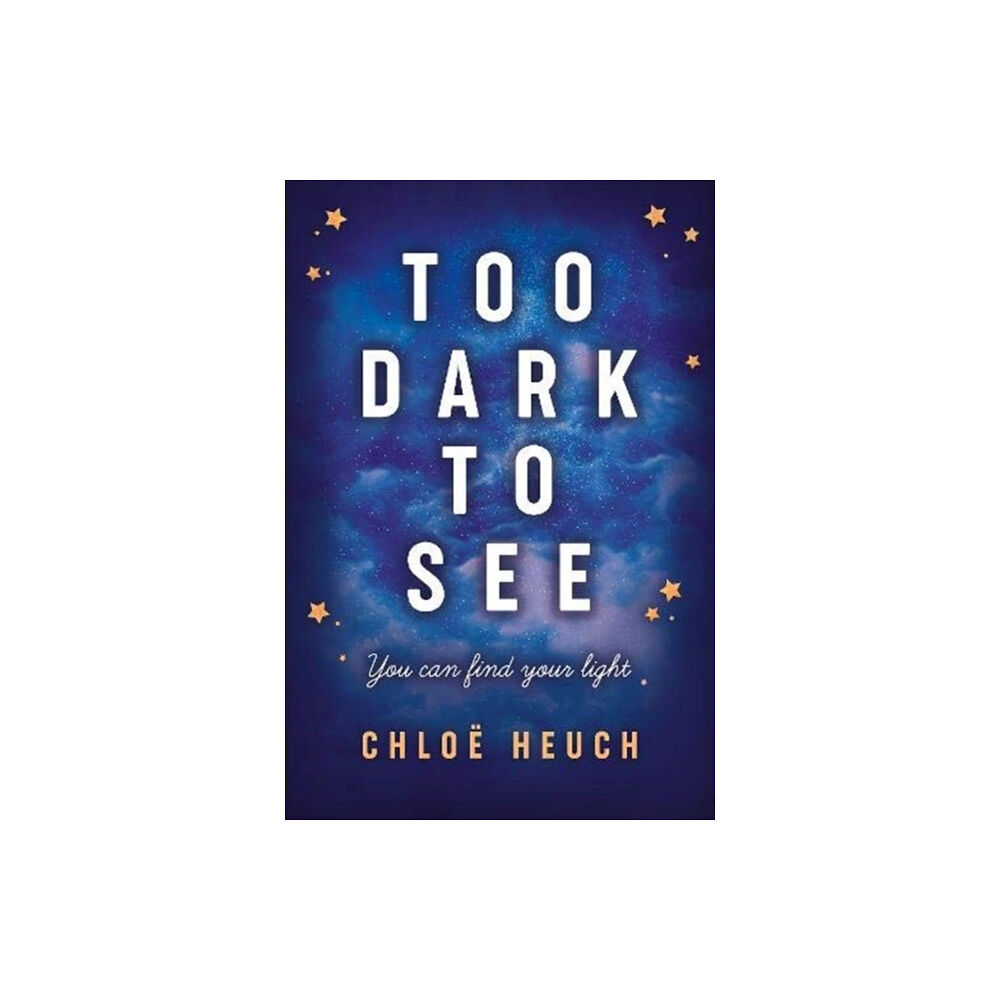 Firefly Press Ltd Too Dark to See (häftad, eng)