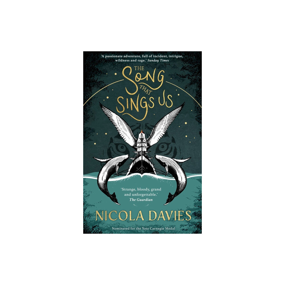 Firefly Press Ltd The Song that Sings Us (häftad, eng)