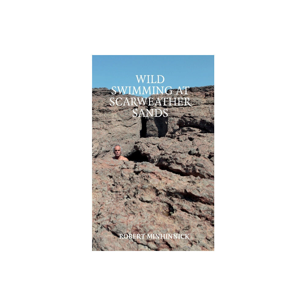 Eyewear Publishing Wild Swimming at Scarweather Sands (häftad, eng)