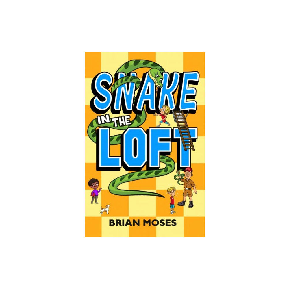 Candy Jar Books Snake In The Loft (häftad, eng)