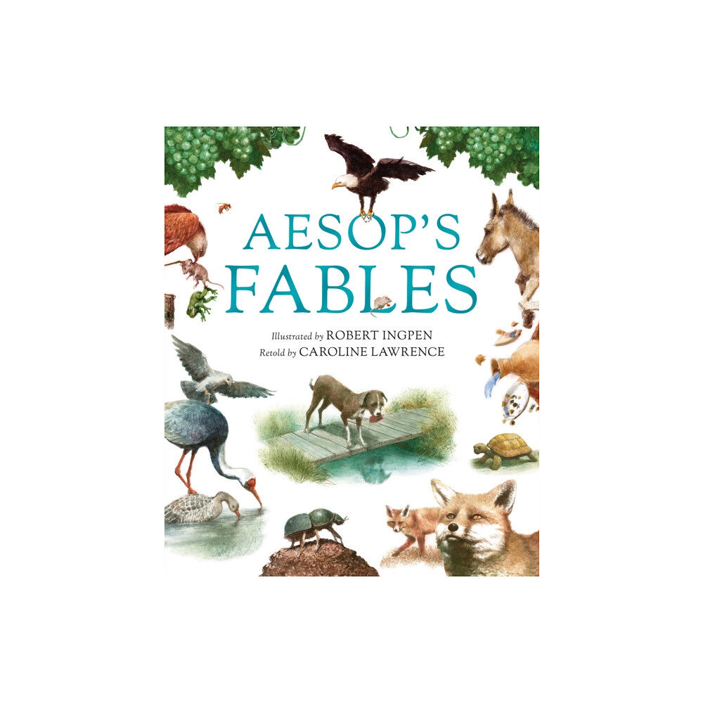 Hachette Children's Group Aesop's Fables (inbunden, eng)