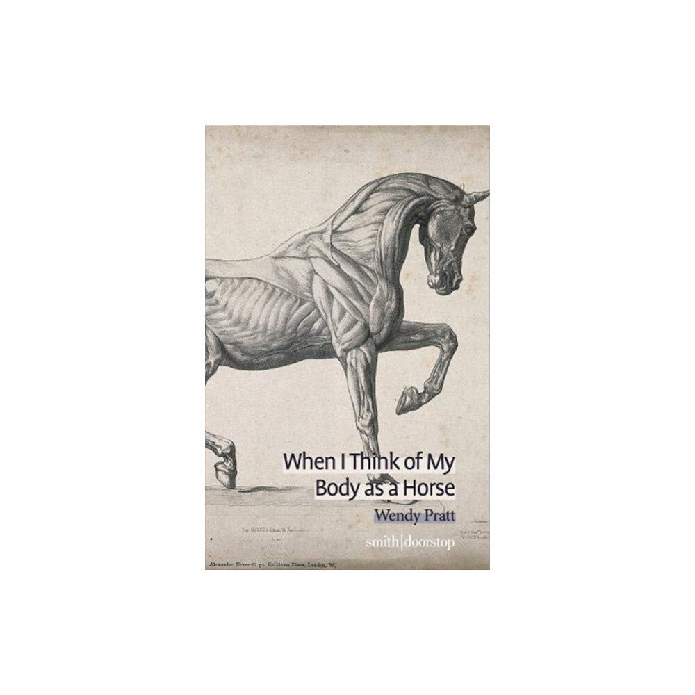 Smith|Doorstop Books When I Think of My Body as a Horse (häftad, eng)