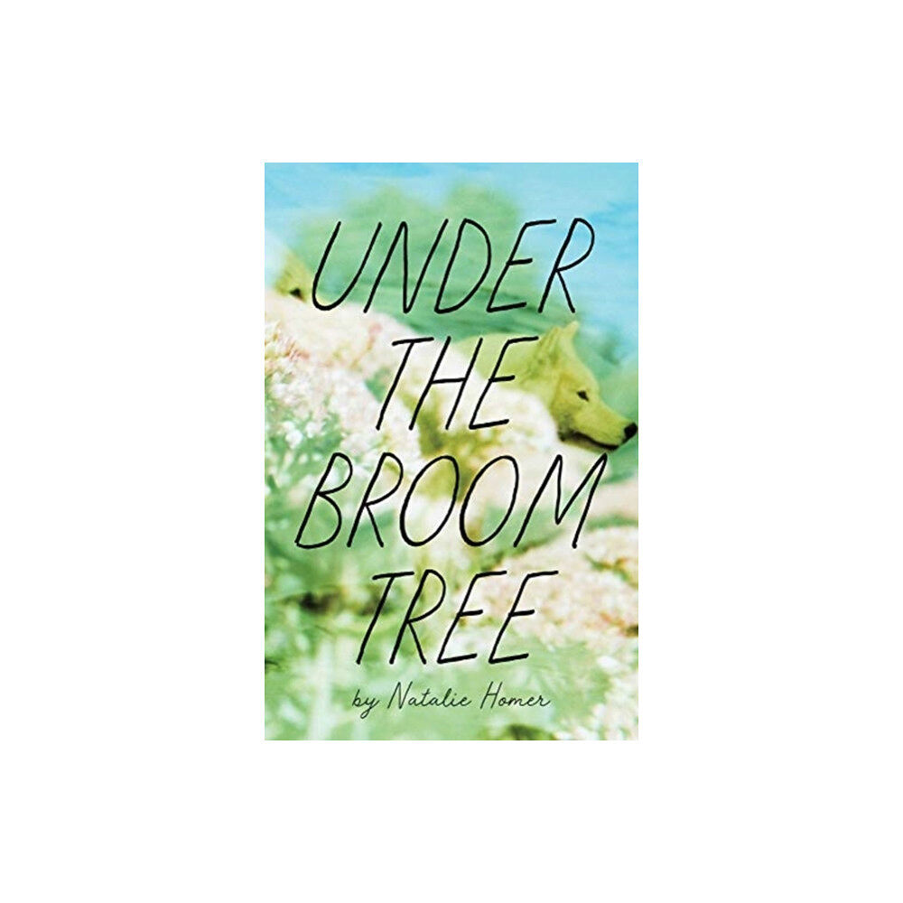 Autumn House Press Under the Broom Tree (häftad, eng)