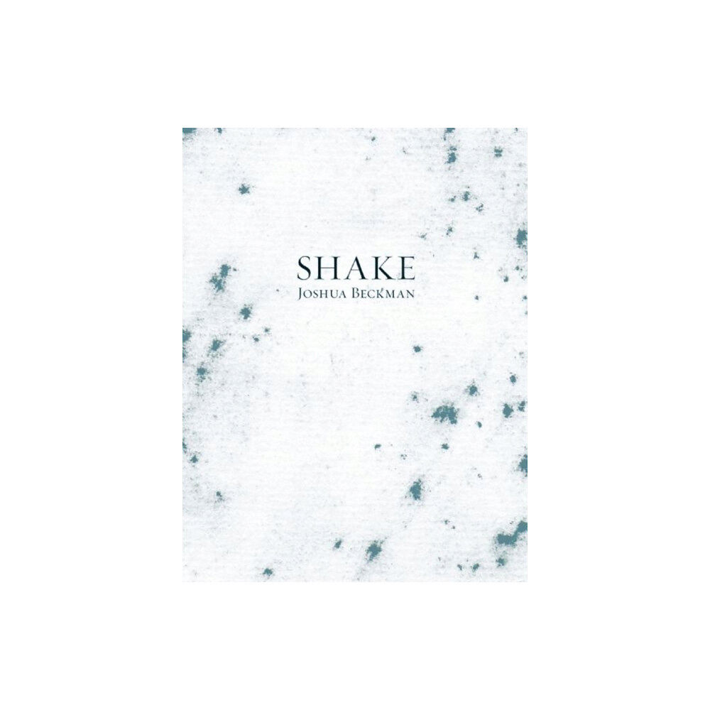 Wave Books Shake (häftad, eng)