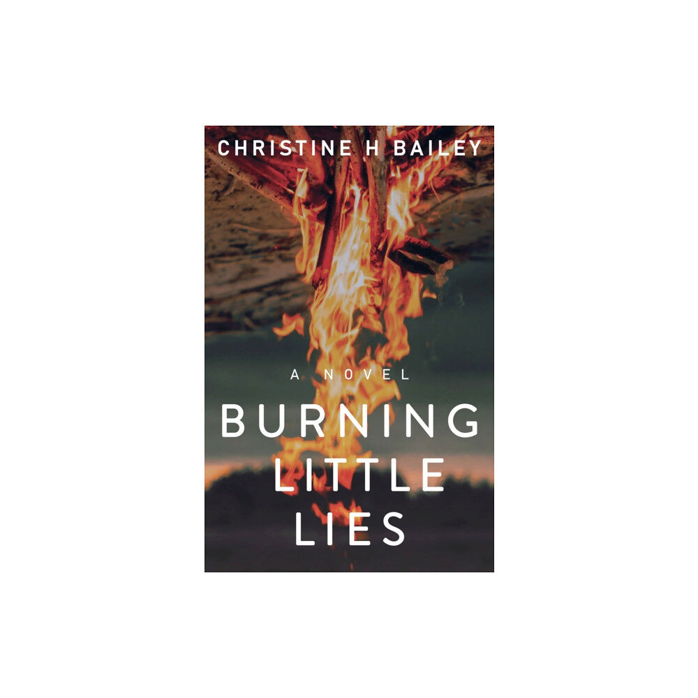 Artemesia Publishing, LLC Burning Little Lies (häftad, eng)