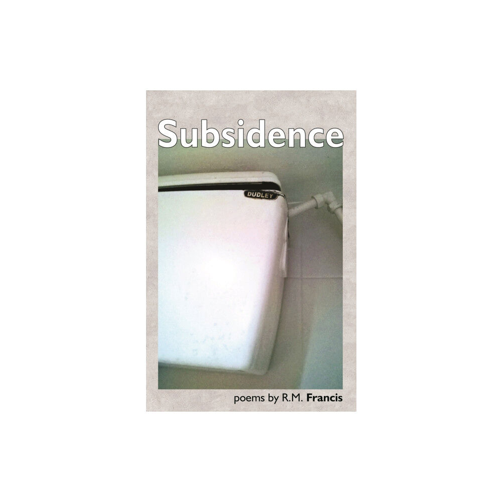 Smokestack Books Subsidence (häftad, eng)