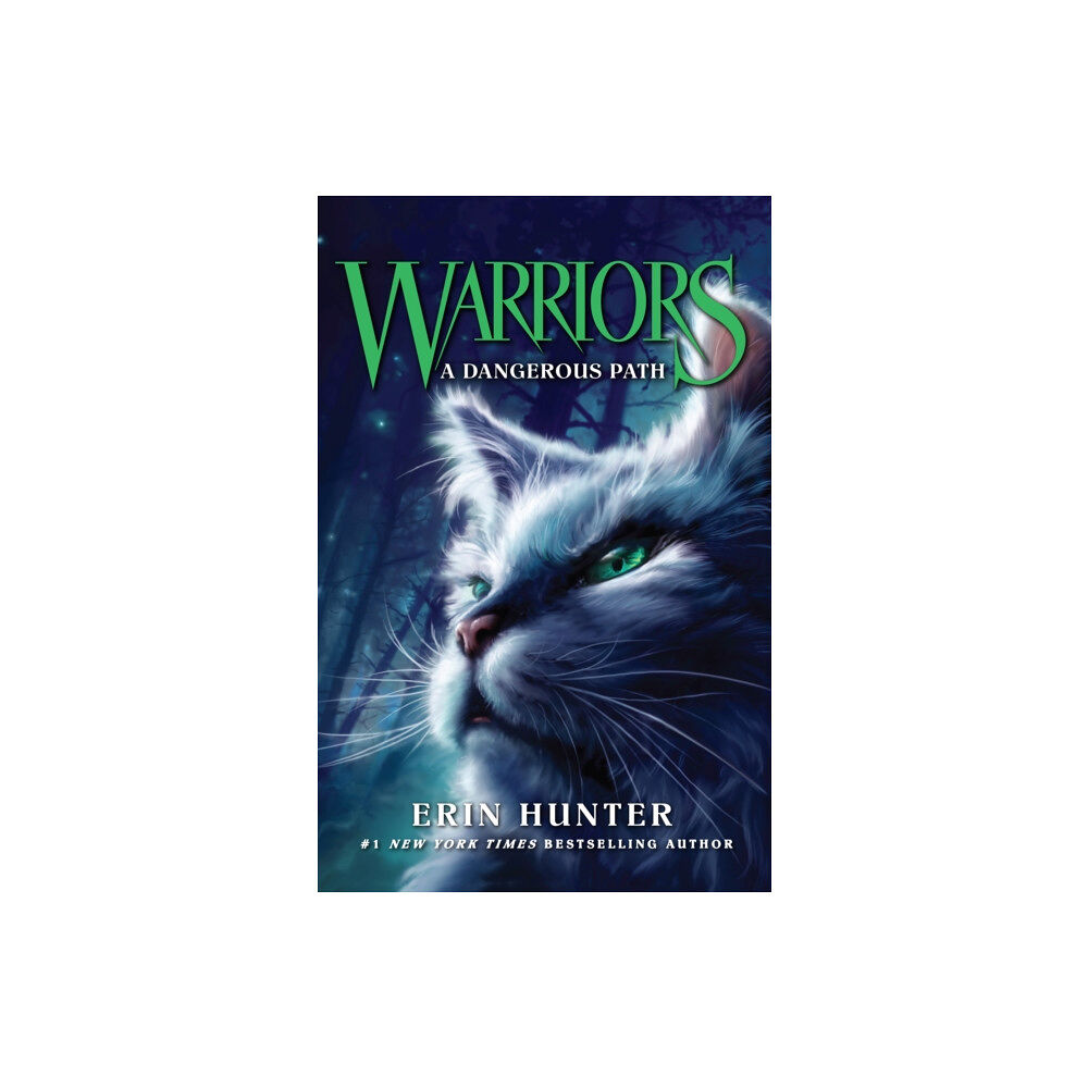 HarperCollins Publishers A Dangerous Path (häftad, eng)