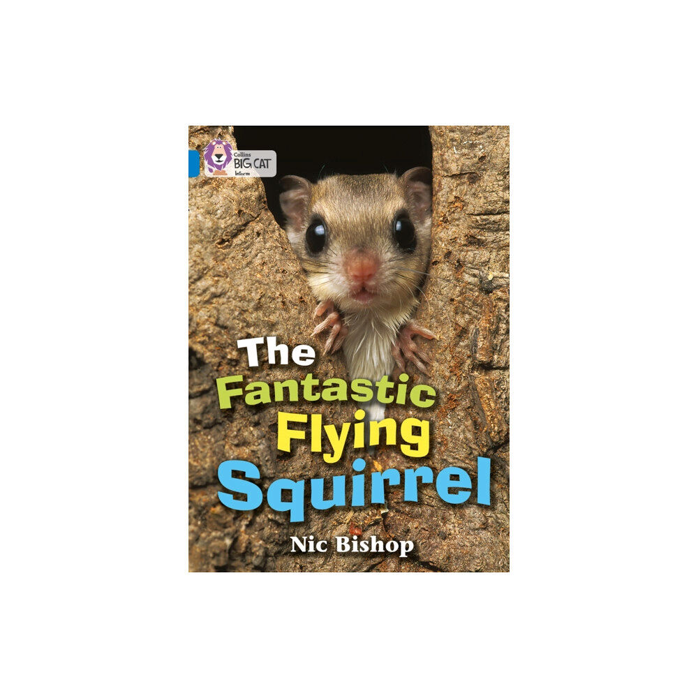 HarperCollins Publishers The Fantastic Flying Squirrel (häftad, eng)