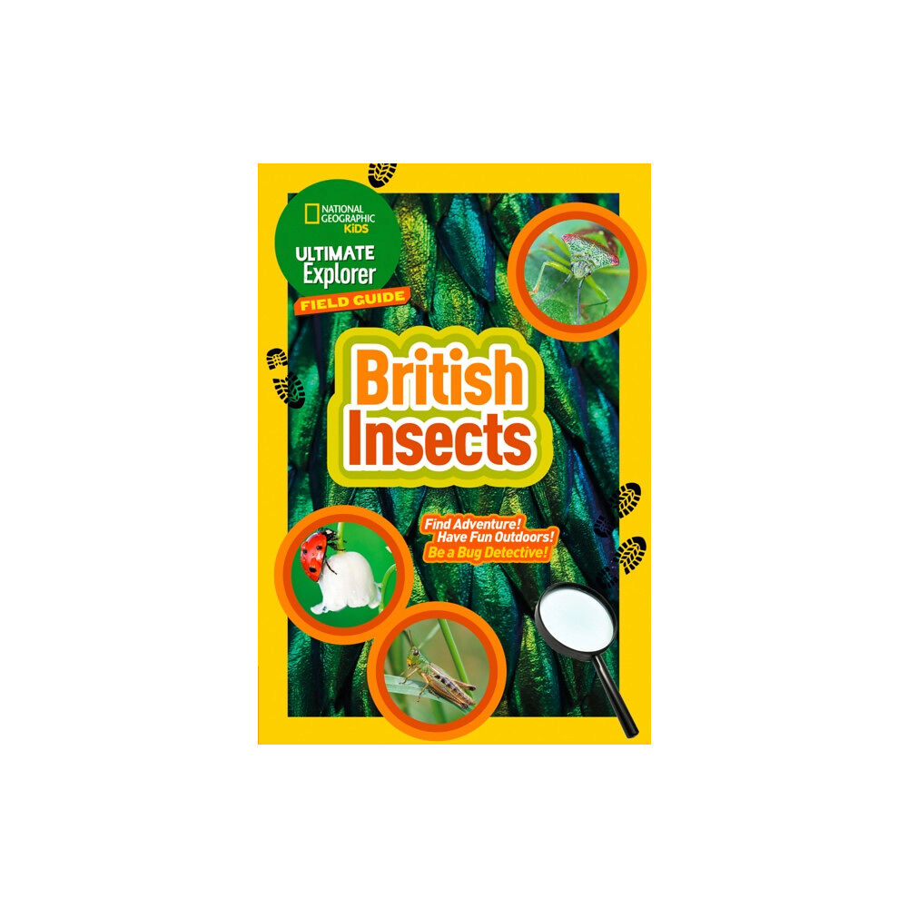 HarperCollins Publishers Ultimate Explorer Field Guides British Insects (häftad, eng)
