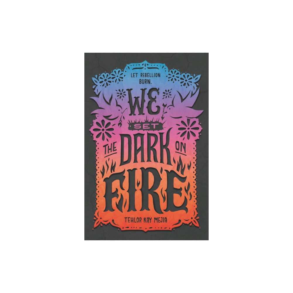 Harpercollins publishers inc We Set the Dark on Fire (häftad, eng)