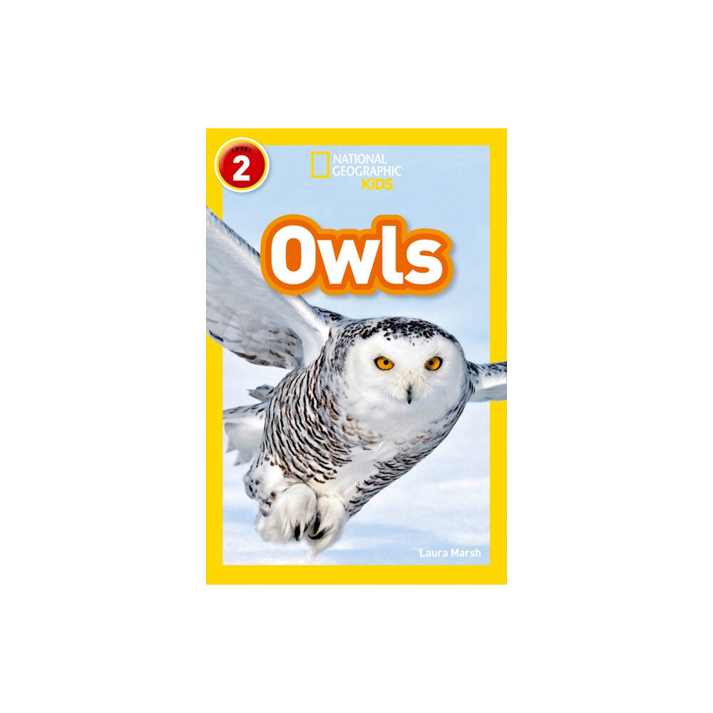 HarperCollins Publishers Owls (häftad, eng)