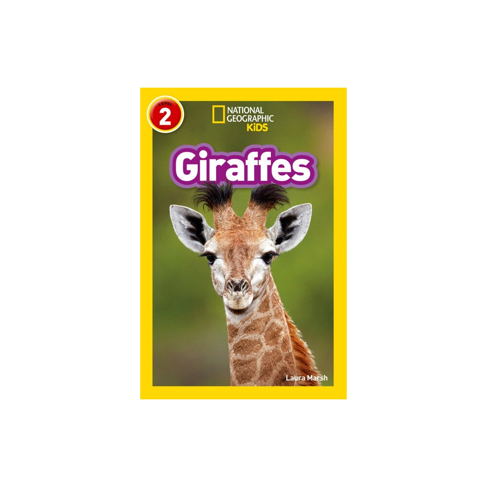 HarperCollins Publishers Giraffes (häftad, eng)