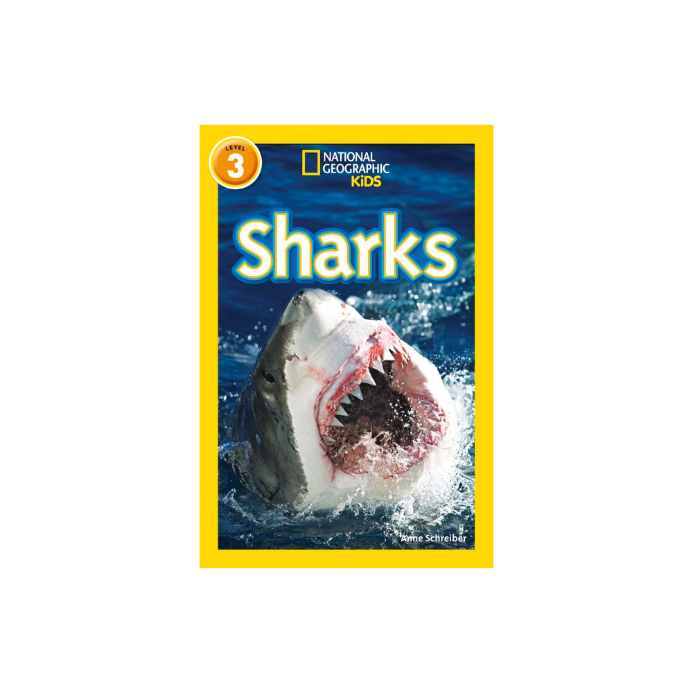 HarperCollins Publishers Sharks (häftad, eng)