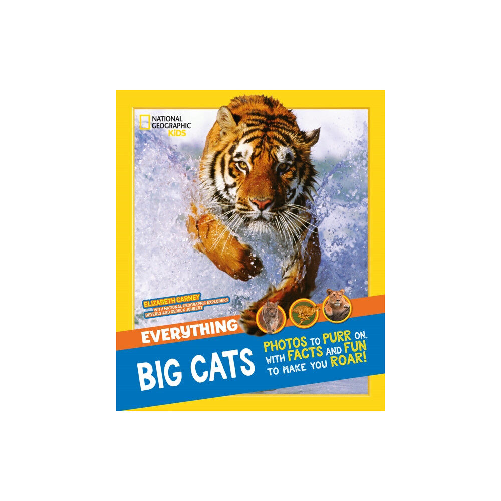 HarperCollins Publishers Everything: Big Cats (häftad, eng)