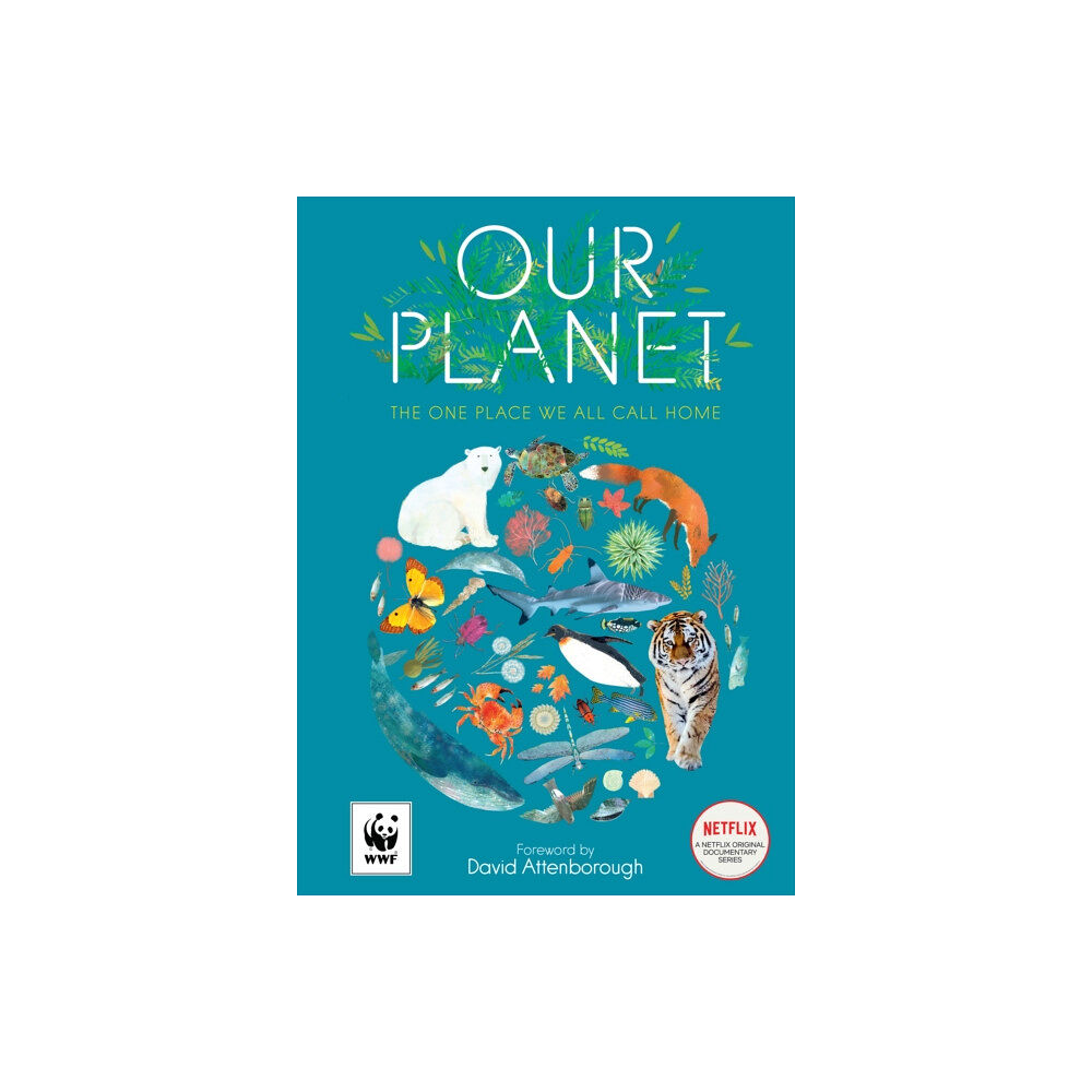 HarperCollins Publishers Our Planet (häftad, eng)