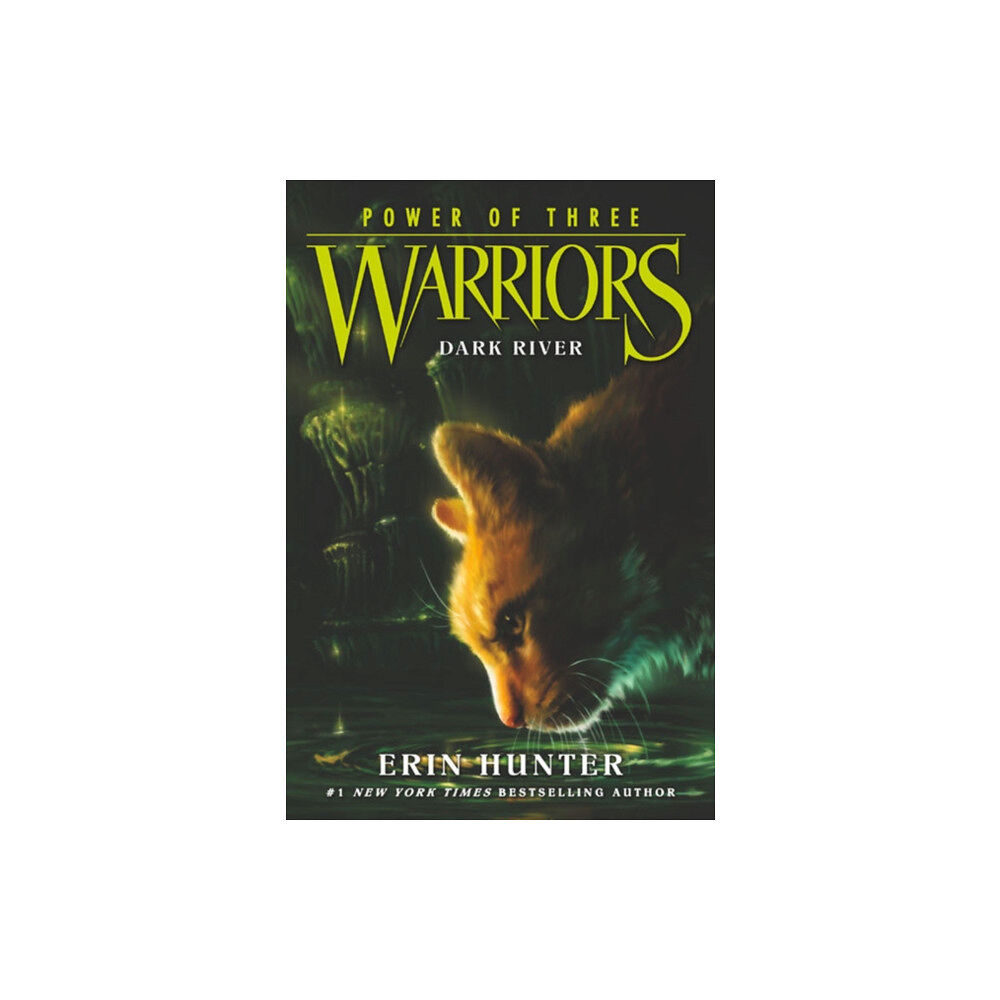Harpercollins publishers inc Warriors: Power of Three #2: Dark River (häftad, eng)