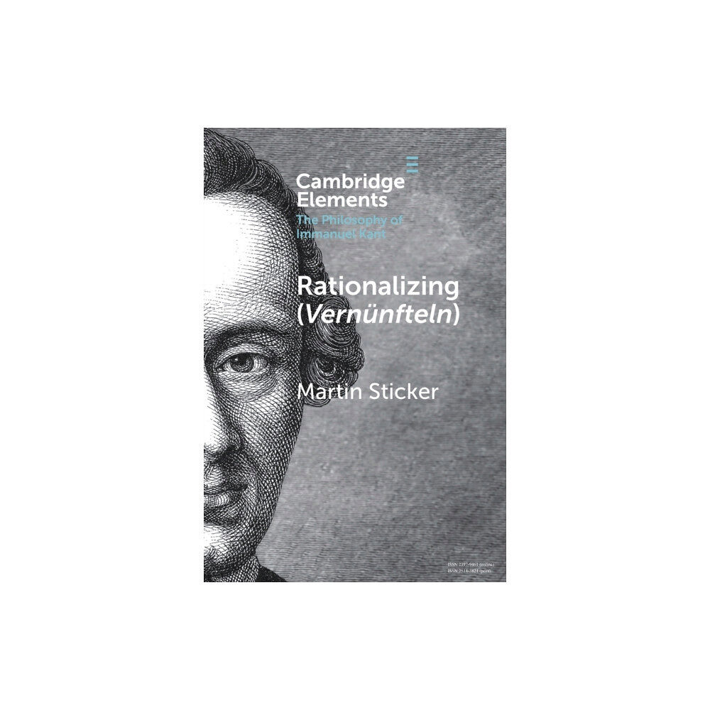 Cambridge University Press Rationalizing (Vernunfteln) (häftad, eng)