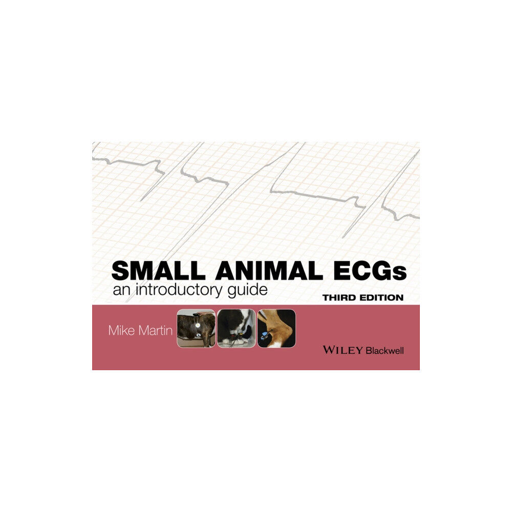 John Wiley And Sons Ltd Small Animal ECGs (häftad, eng)