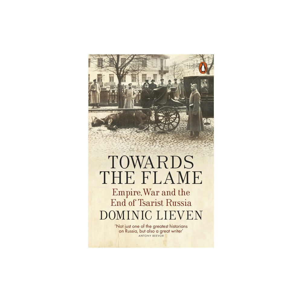 Penguin books ltd Towards the Flame (häftad, eng)