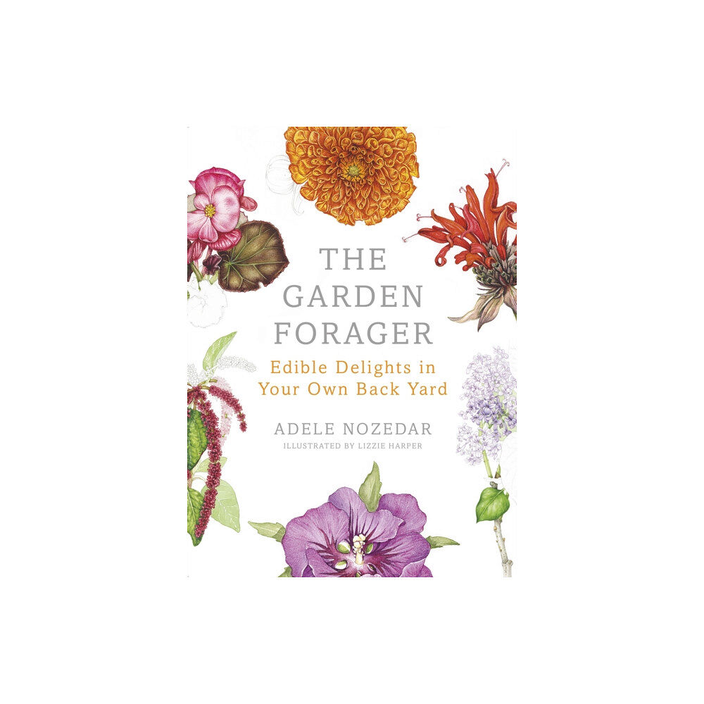 Vintage Publishing The Garden Forager (inbunden, eng)