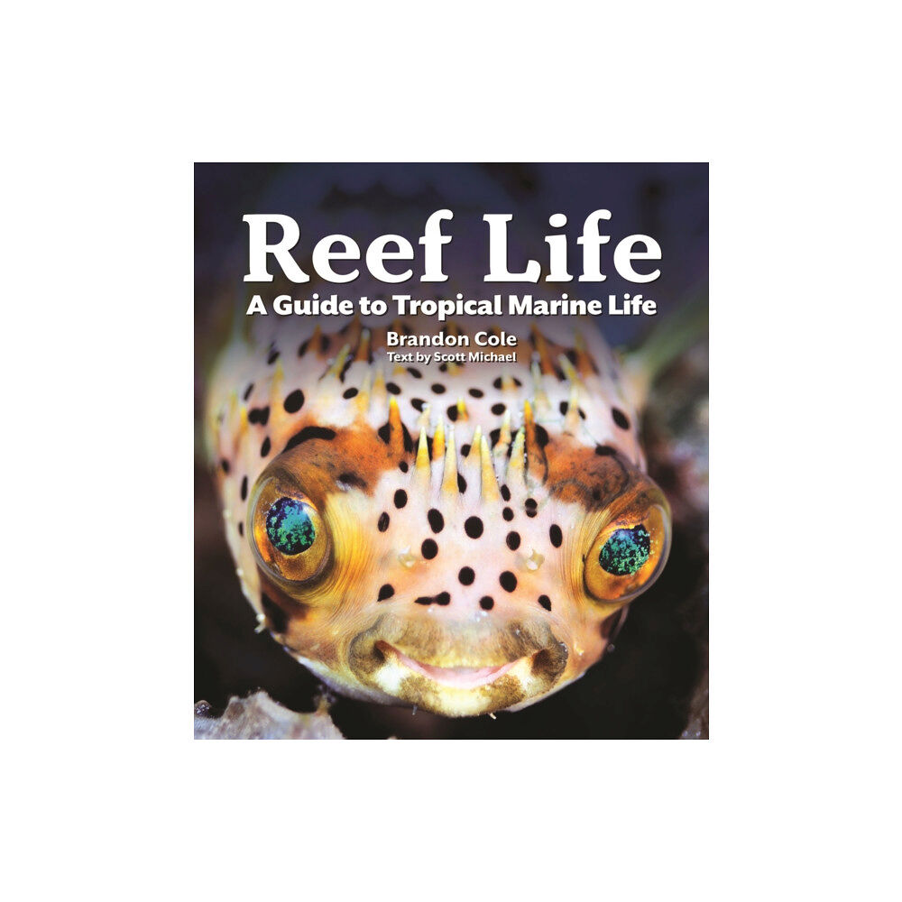 Firefly Books Ltd Reef Life (häftad, eng)