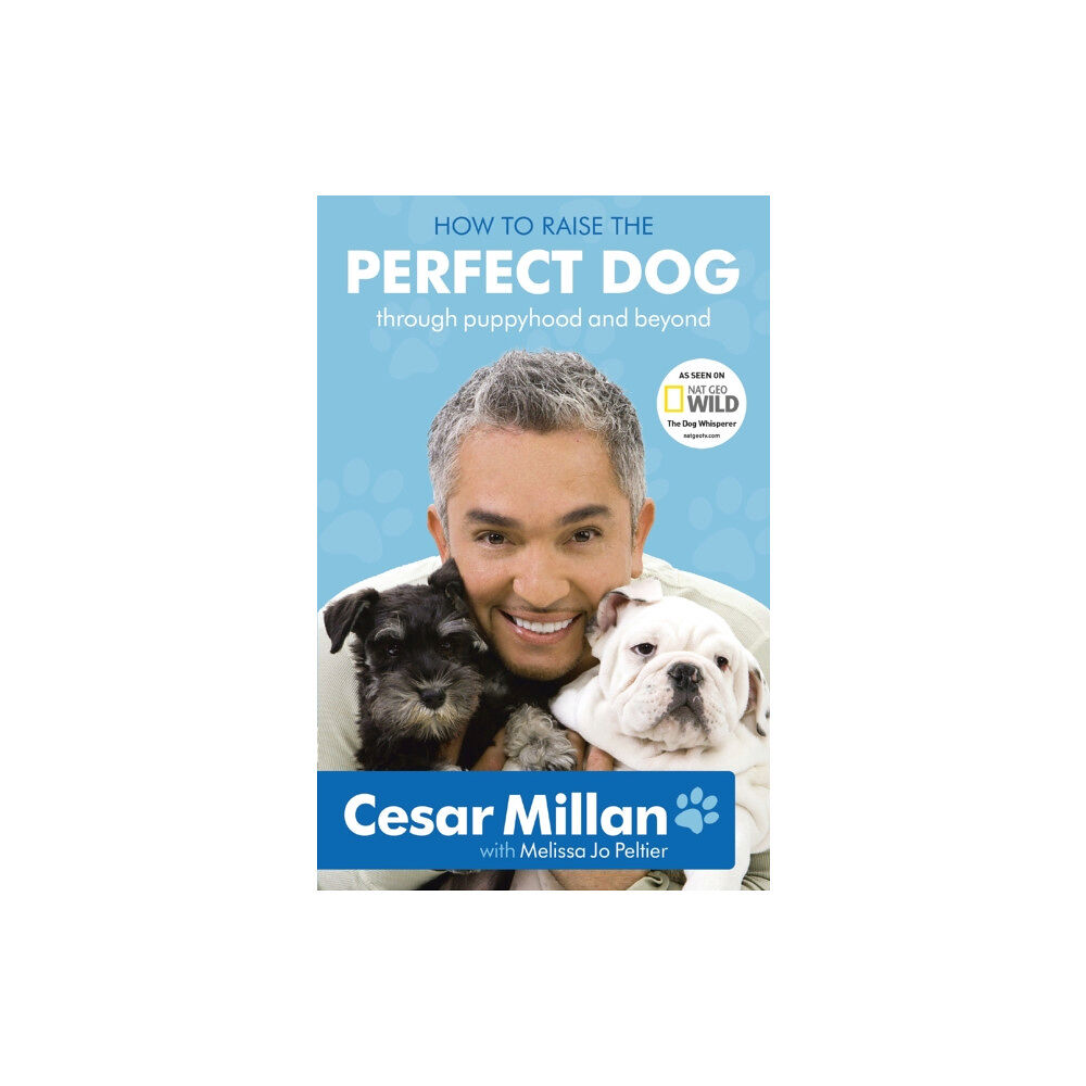 Hodder & Stoughton How to Raise the Perfect Dog (häftad, eng)