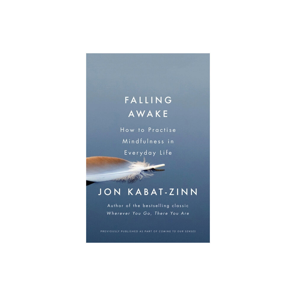 Little, Brown Book Group Falling Awake (häftad, eng)