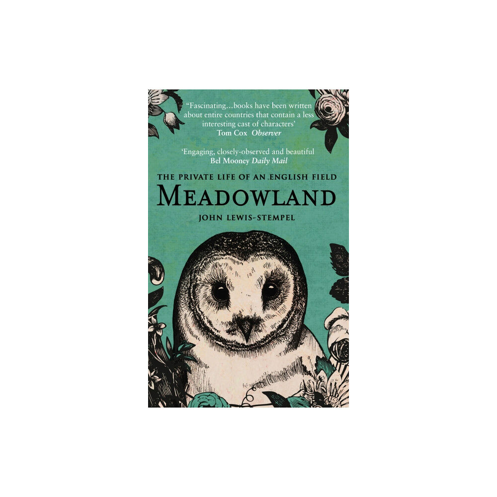 Transworld publishers ltd Meadowland (häftad, eng)