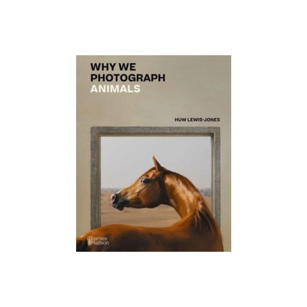 Thames & Hudson Ltd Why We Photograph Animals (inbunden, eng)