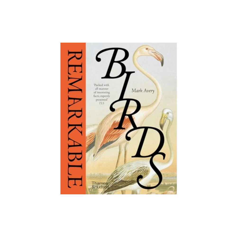 Thames & Hudson Ltd Remarkable Birds (inbunden, eng)