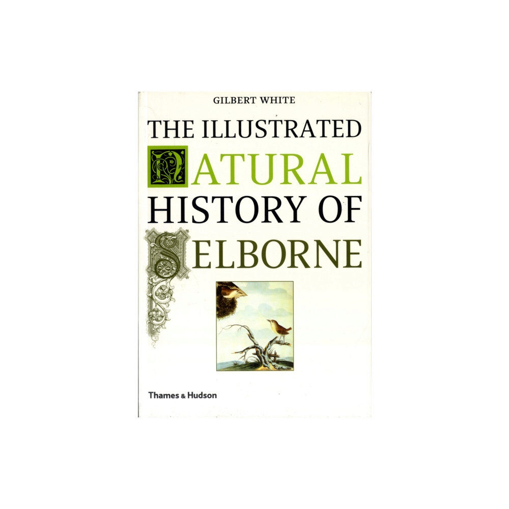 Thames & Hudson Ltd The Illustrated Natural History of Selborne (häftad, eng)