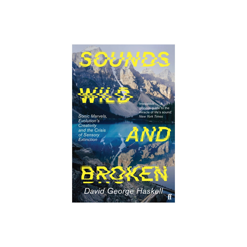 Faber & Faber Sounds Wild and Broken (häftad, eng)